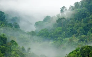 visit igatpuri