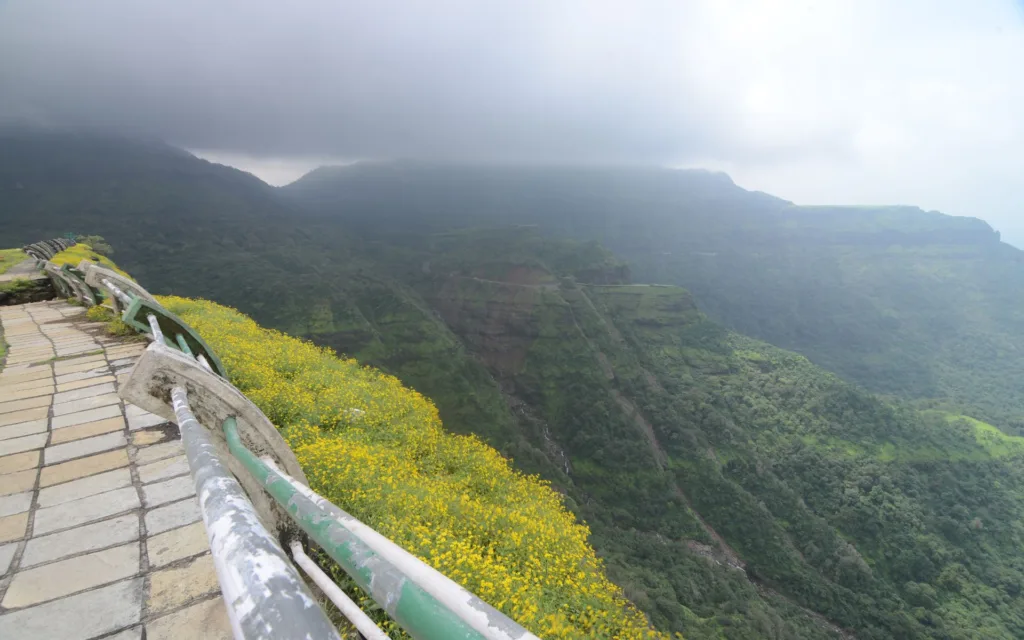 Malshej Ghat Bird Watching