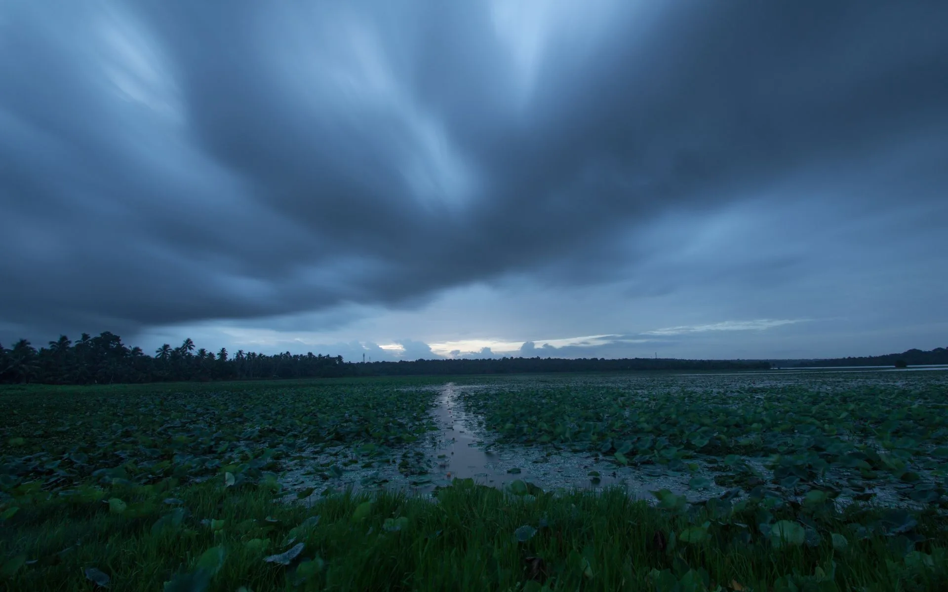 Experience Igatpuri’s Monsoon Magic