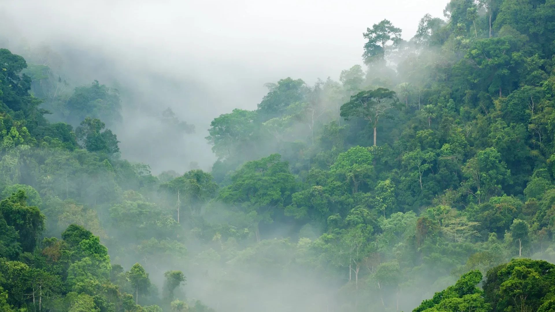 Discover Igatpuri: Maharashtra’s Gem for All Travellers