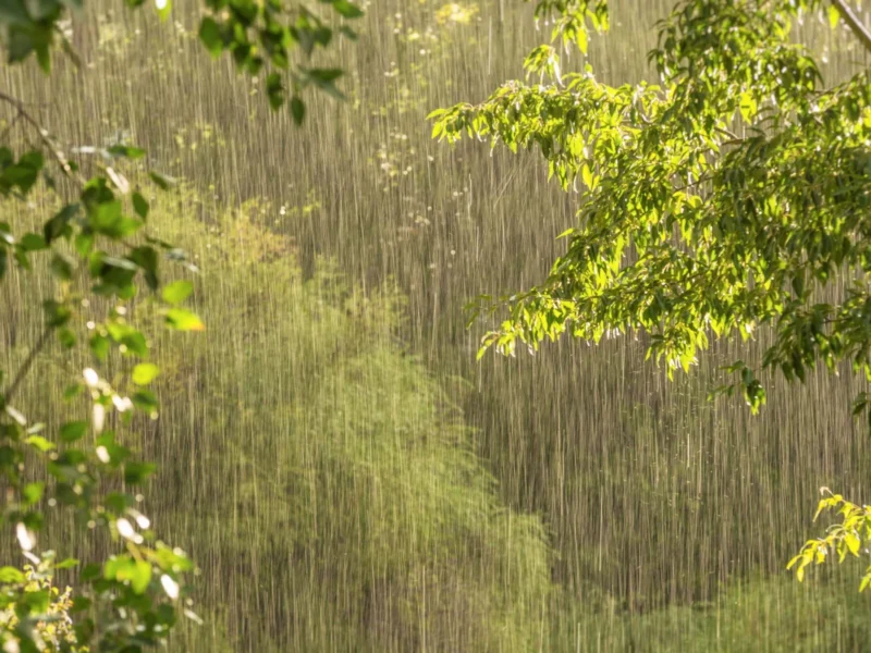 Igatpuri Monsoon: Waterfalls, Thrills & Adventure
