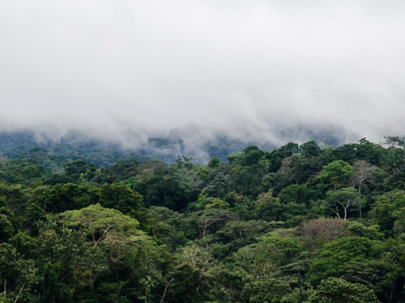 Igatpuri: Holi Festival & Summer Hill Station Break