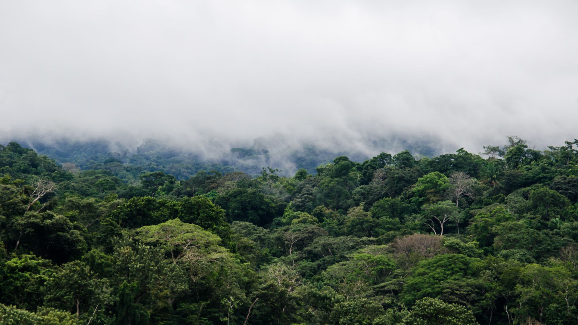 Igatpuri: Holi Festival & Summer Hill Station Break